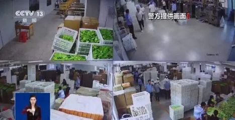 警方破获亿元网红减肥食品大案，80人落网！