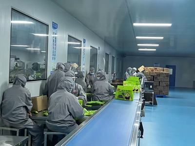 助力“小紫菜”走向“大市场”——“江苏省内外贸认证一体化进园区”首场活动走进赣榆